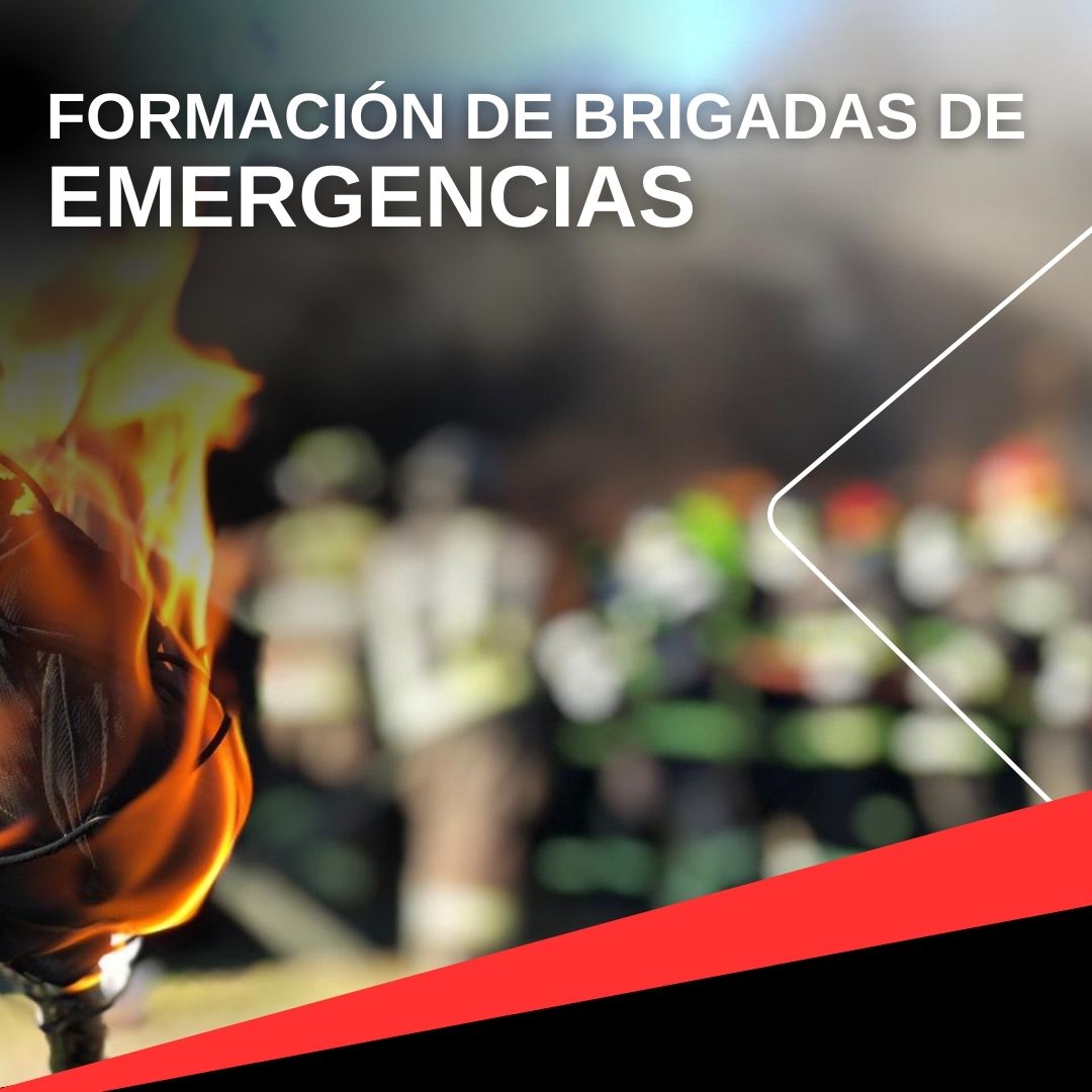 Formación de Brigadas de Emergencias